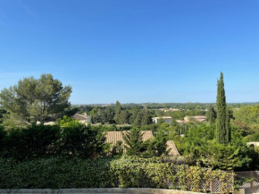 Magnifique Villa avec piscine à débordement à Maussane les Alpilles